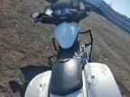 2016 Victory Magnum