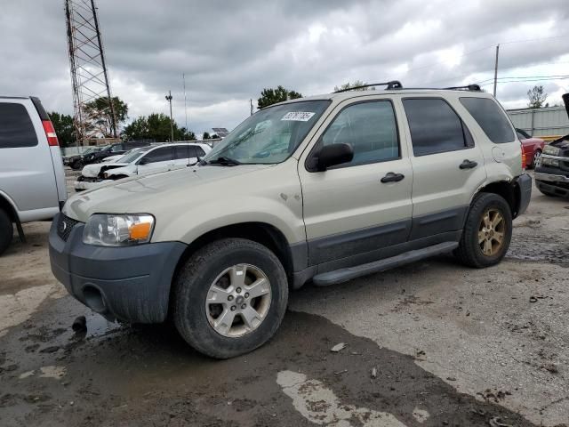 2006 Ford Escape XLT