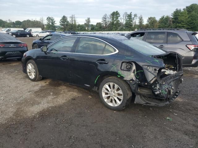 2014 Lexus ES 300H