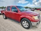 2009 Nissan Frontier Crew Cab SE