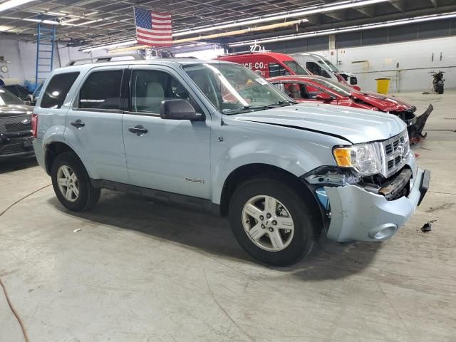 2008 Ford Escape HEV