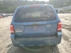 2009 Ford Escape XLS
