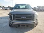 2013 Ford F150