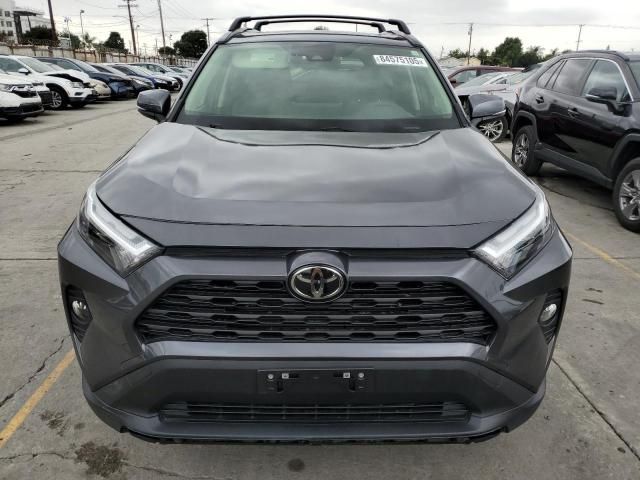 2025 Toyt 2025 Toyota Rav4 XLE Premium