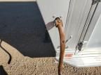 1998 Elite Horse Trailer