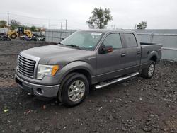 Salvage trucks for sale at Marlboro, NY auction: 2011 Ford F150 Supercrew