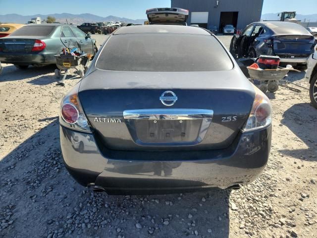 2010 Nissan Altima Base