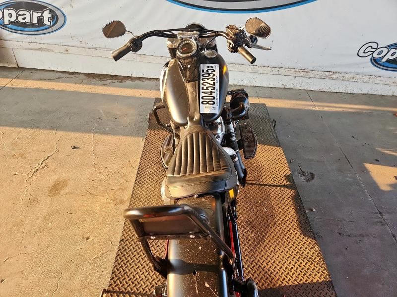 2020 Harley-Davidson Flsl