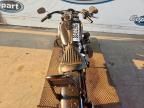 2020 Harley-Davidson Flsl