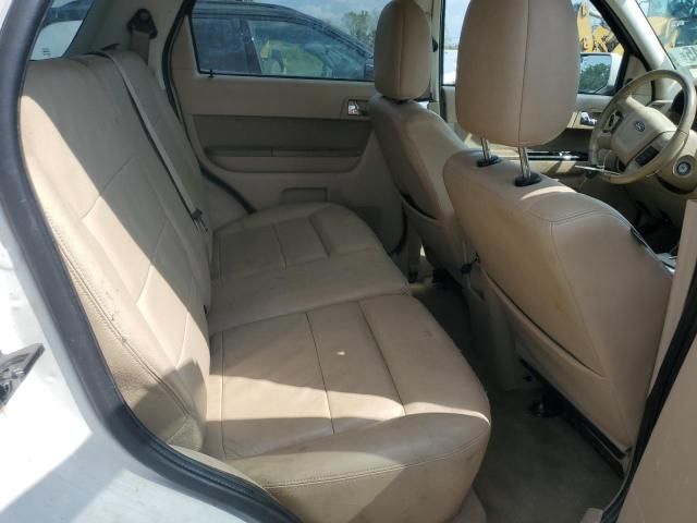 2010 Ford Escape Limited