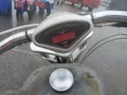 2006 Saxo Sceptre