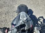 2023 Ducati Monster