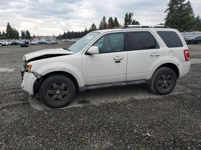 2009 Ford Escape Limited