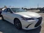 2025 Lexus ES 300H Base