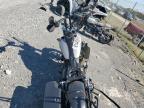 2007 Harley-Davidson Fxdbi