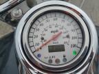 2006 Suzuki C50