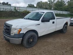 2013 Ford F150 en venta en Davison, MI
