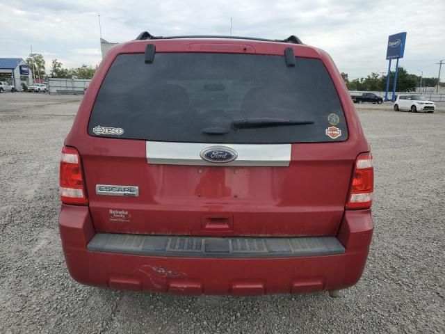 2011 Ford Escape Limited