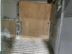 2017 Dodge RAM Promaster Cargo Van