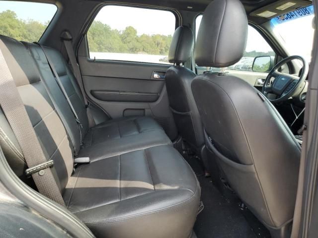 2008 Ford Escape Limited