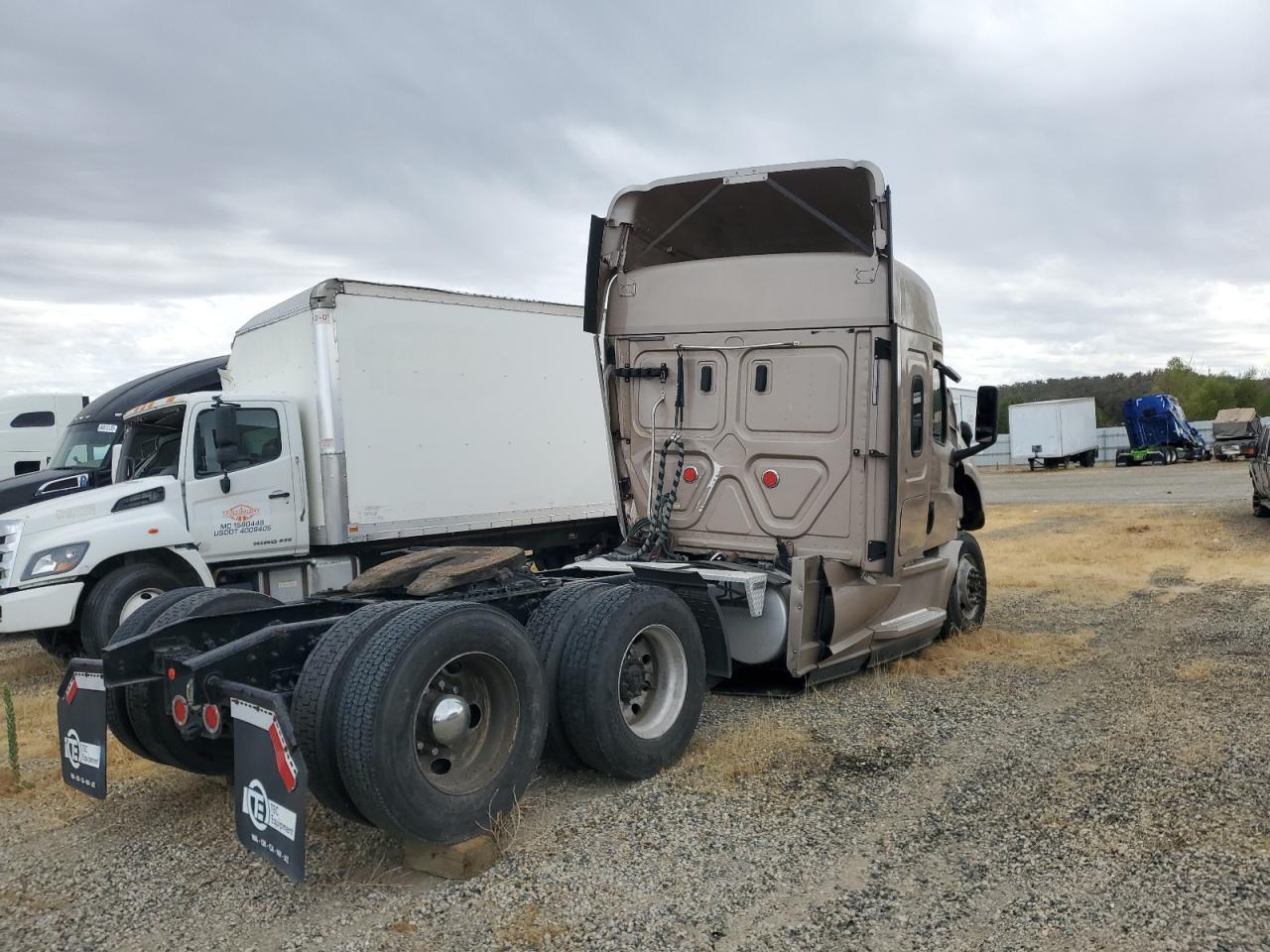 2019 Freightliner Cascadia 126