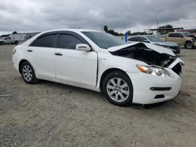 2008 Toyota Camry Hybrid