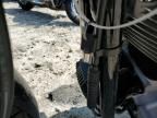 2007 Harley-Davidson Fxdc Daytona Custom