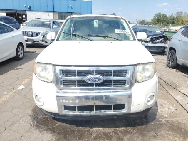 2010 Ford Escape Limited