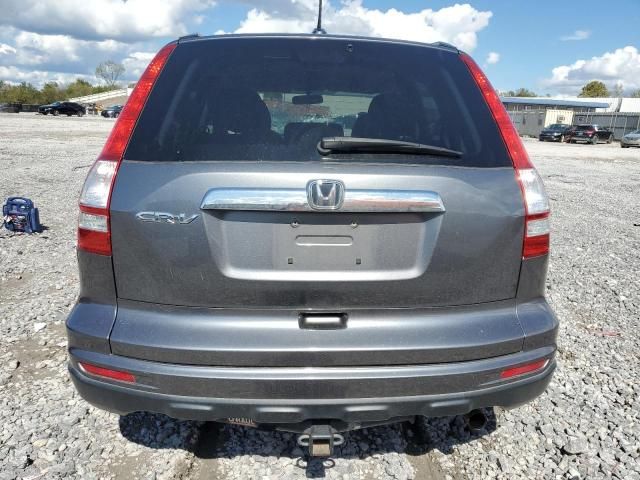 2010 Honda CR-V EXL
