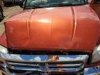2007 Dodge Dakota Laramie
