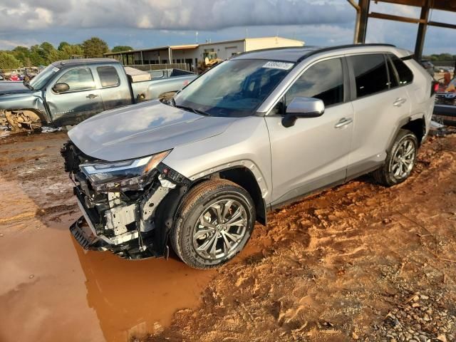 2024 Toyota Rav4 XLE Premium