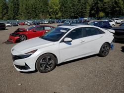Hyundai salvage cars for sale: 2023 Hyundai Elantra Limited