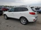 2007 Hyundai Santa FE SE
