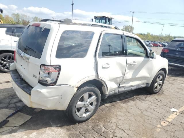 2010 Ford Escape Limited