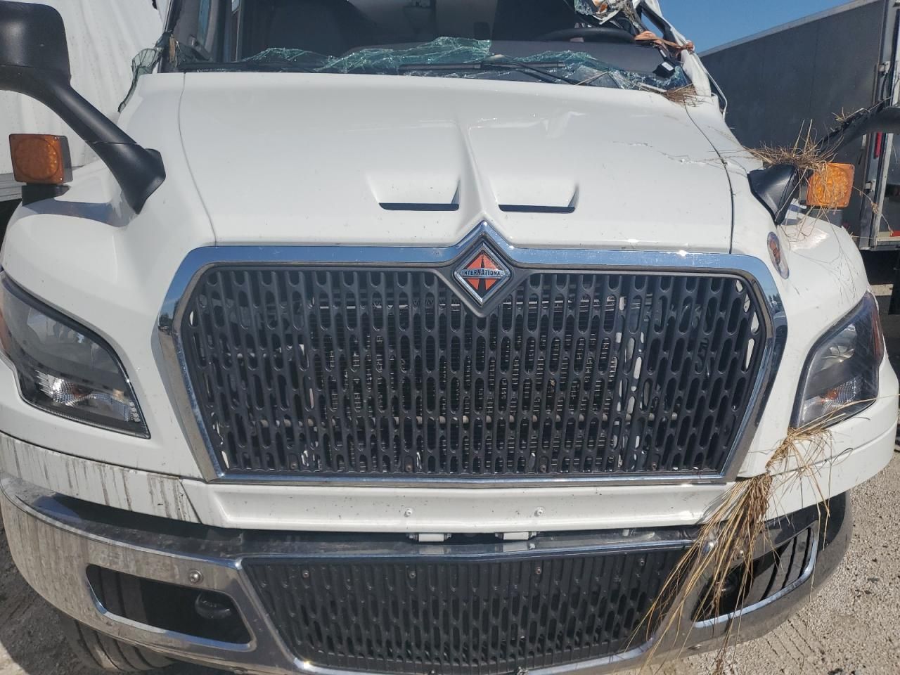 2025 International MV607