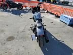 2024 Harley-Davidson Fxbbs