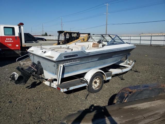 1989 Blue Water 17' Astro-Boats Boat