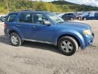 2009 Ford Escape XLS