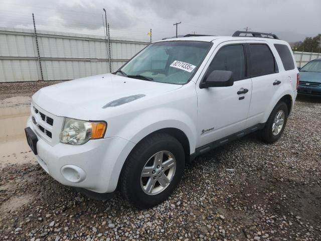 2011 Ford Escape Hybrid