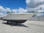 1990 Sea Ray Sundancer 310-Boat