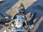 2005 Harley-Davidson XL883 C