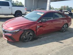 Hyundai salvage cars for sale: 2024 Hyundai Elantra Limited