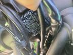2025 Kawasaki EX650 P