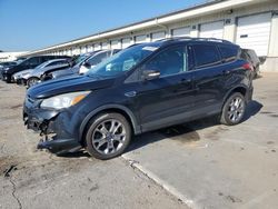 2013 Ford Escape SEL for sale in Louisville, KY