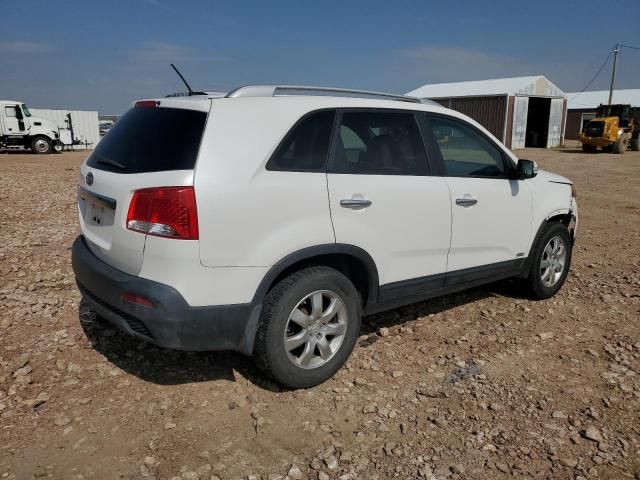 2011 KIA Sorento Base