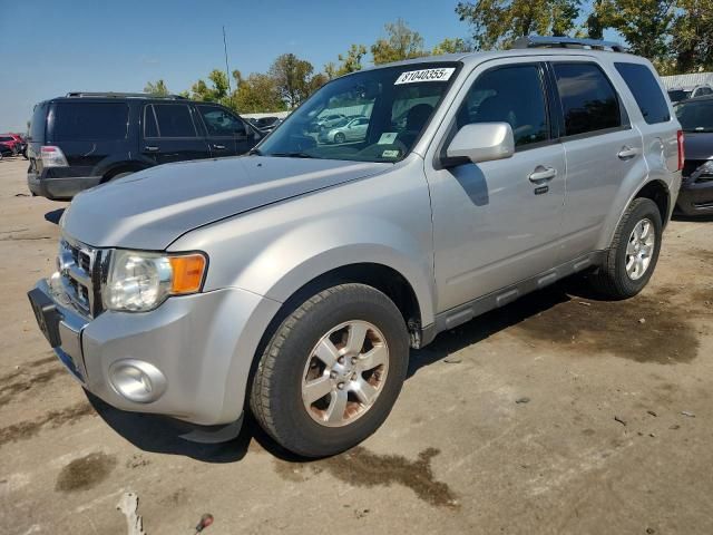 2010 Ford Escape Limited