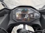 2025 Kawasaki EX500 H