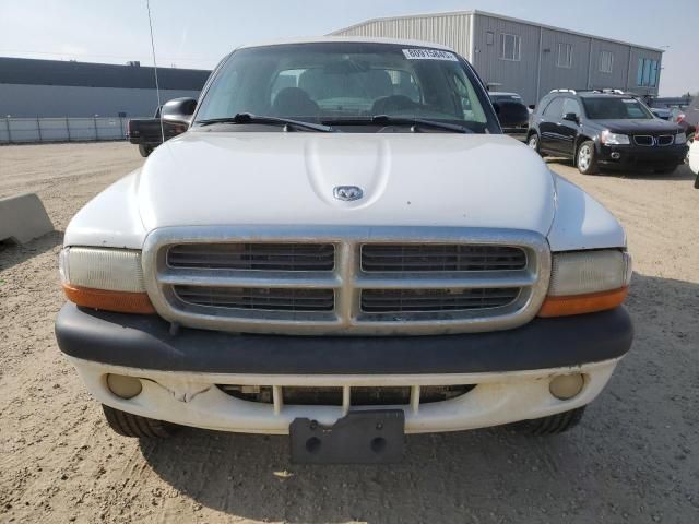2004 Dodge Dakota Quad Sport