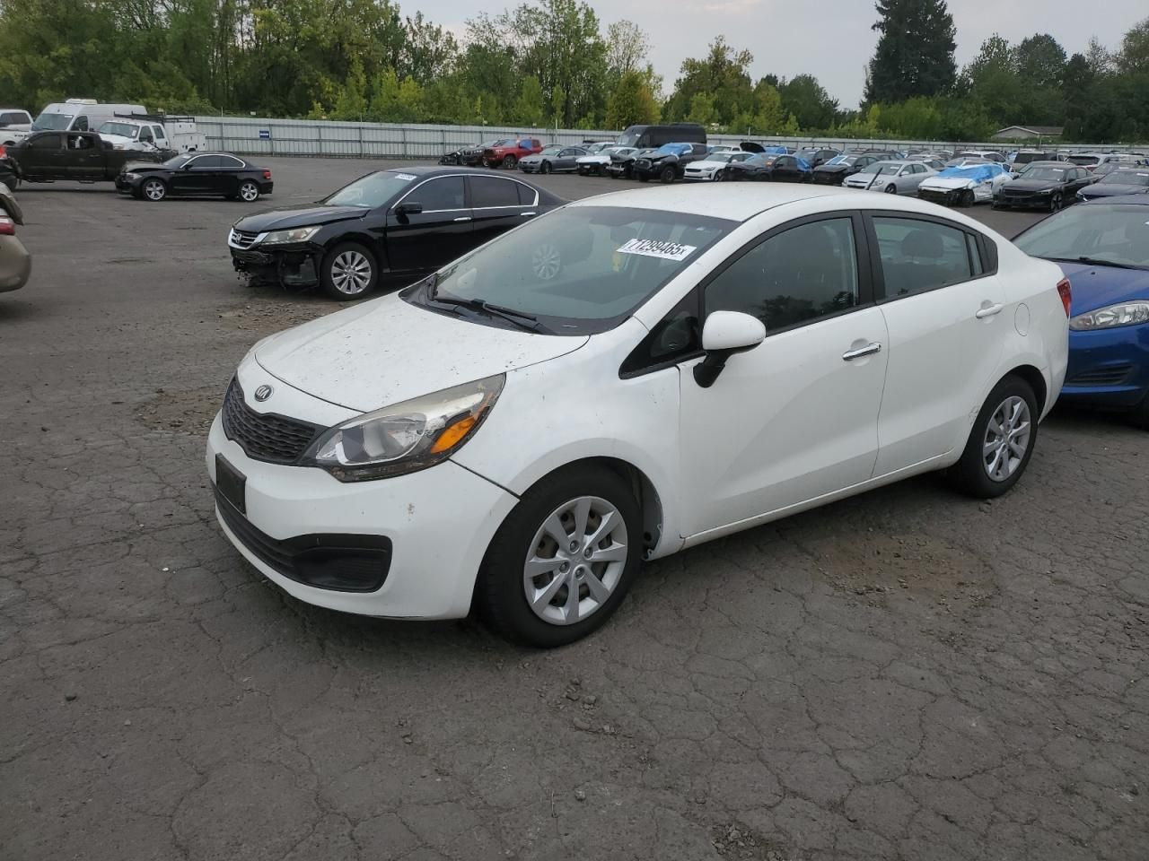 2014 KIA Rio