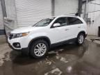 2011 KIA Sorento EX